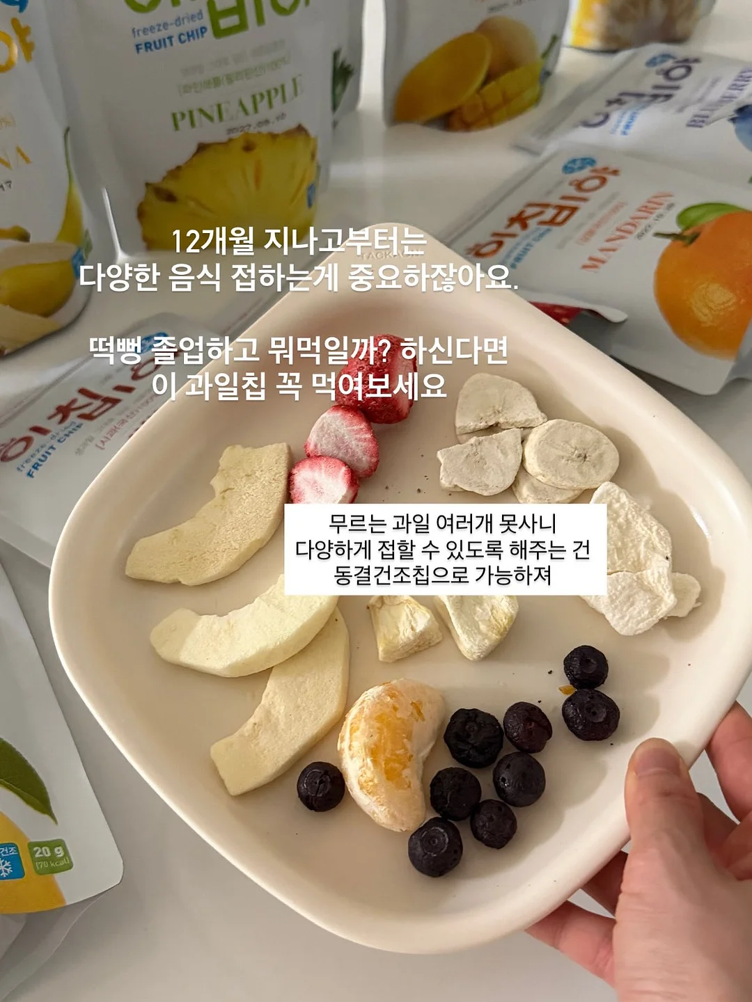 AIDA 프리다이빙 교육 2