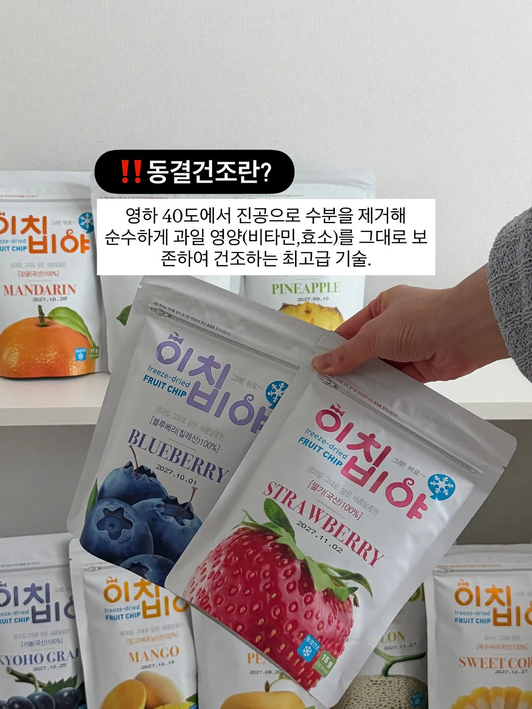 AIDA 프리다이빙 교육 7