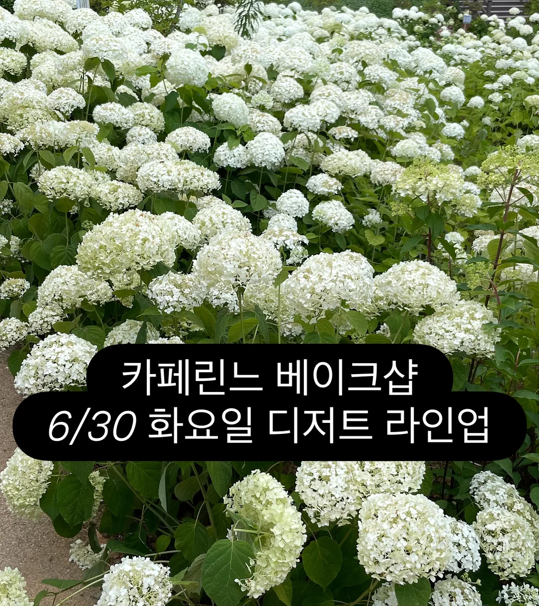 아스틴 퀸텟 정기연주회
