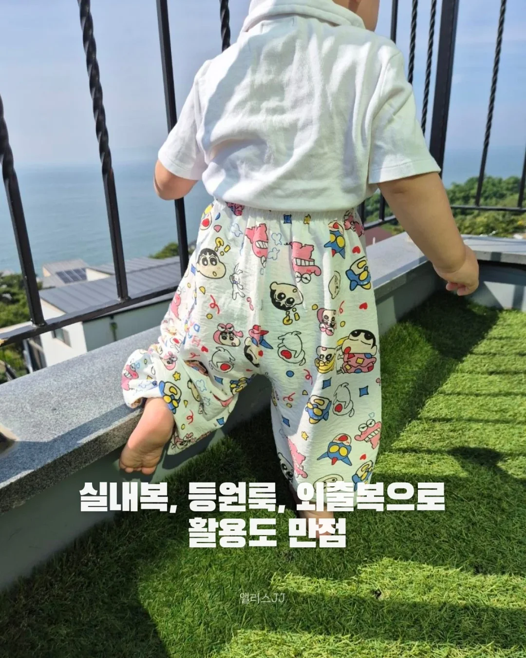 개미 펫낫 8