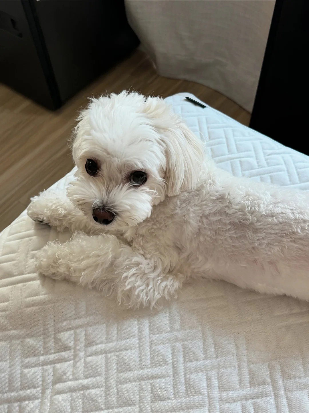 무인양품 아크릴 주얼리 박스 9