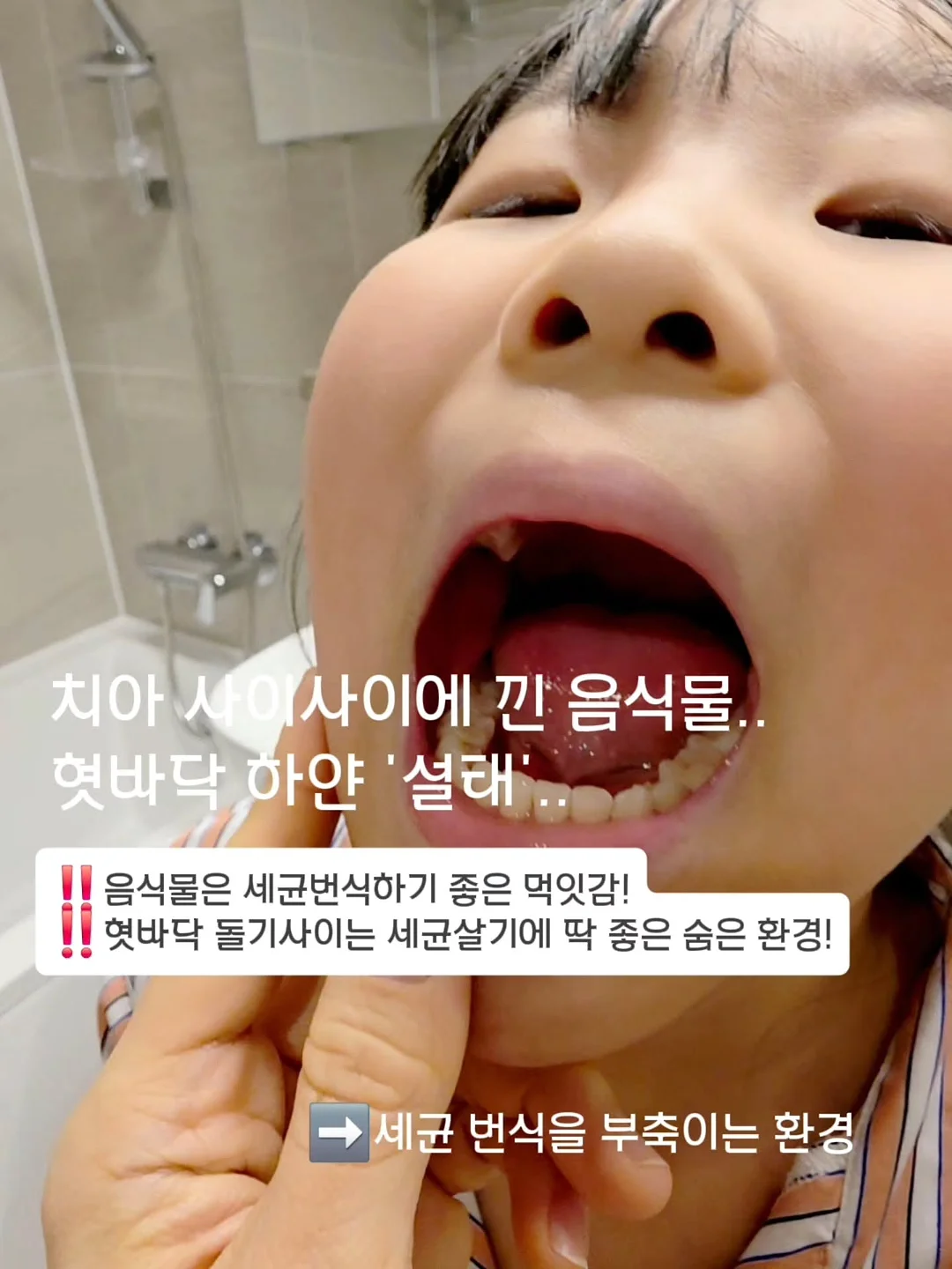 비비드 멀티탭 4