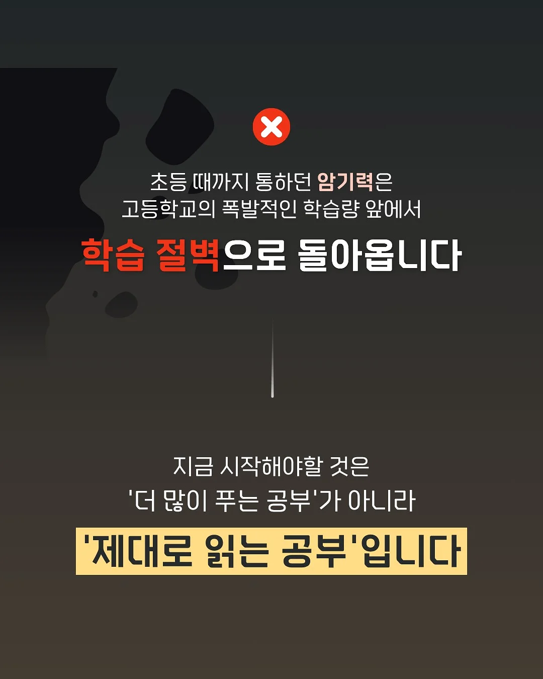 파김치 5