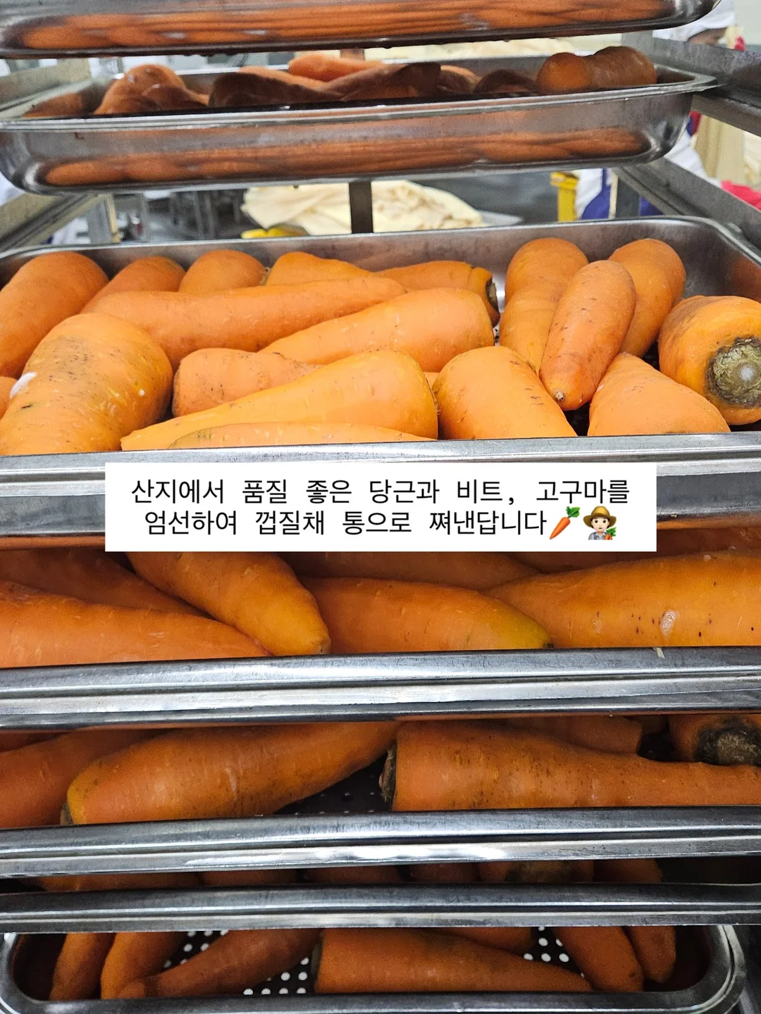 거울 11