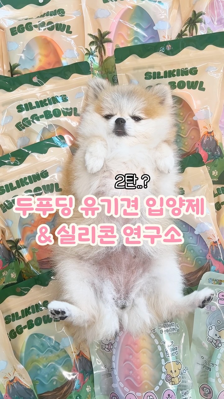 국기연필