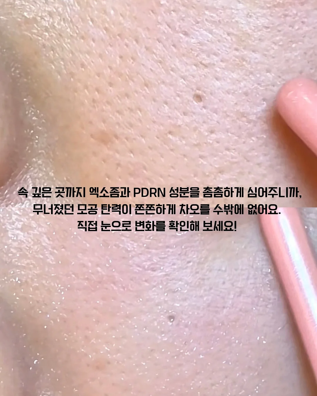 신비복숭아 5kg 11