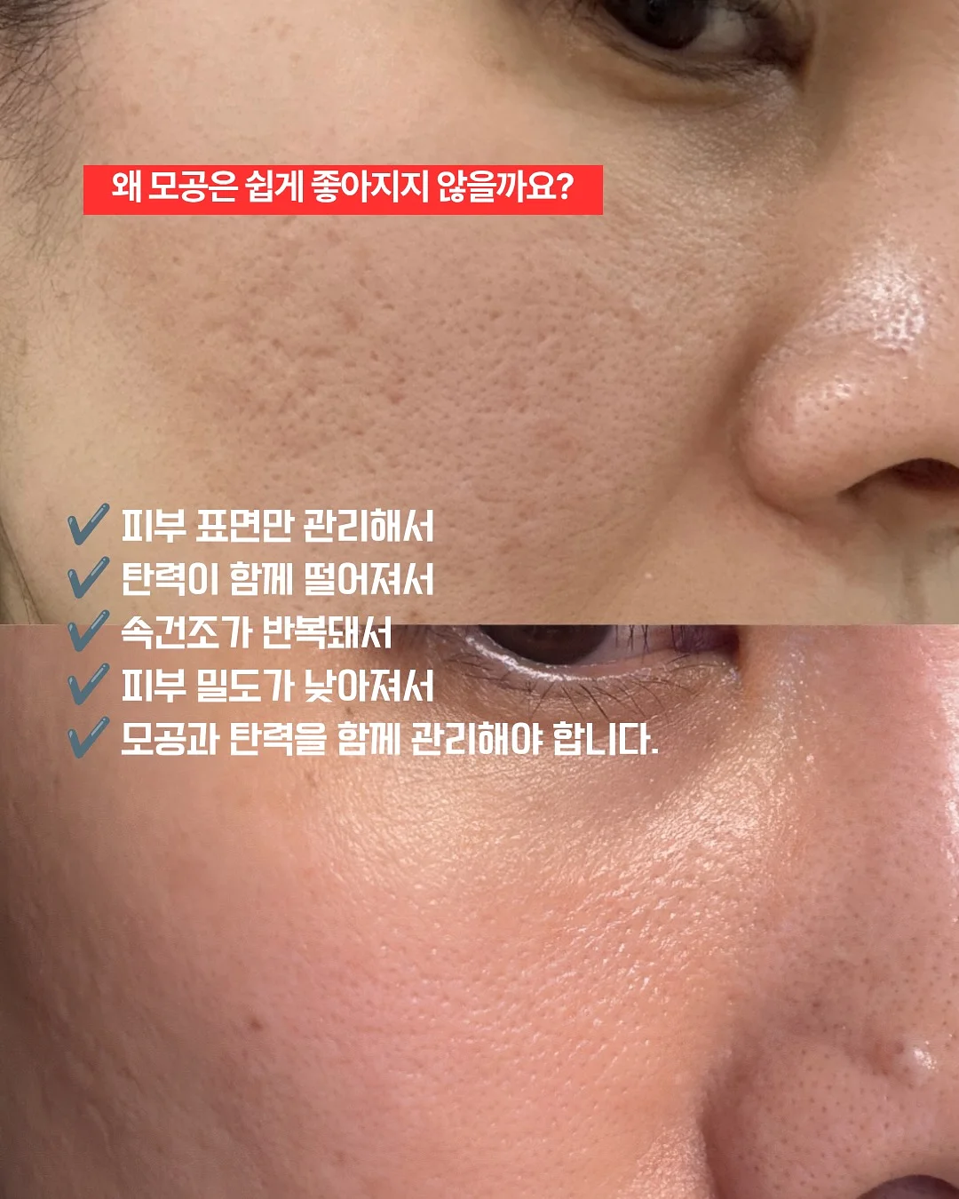 신비복숭아 5kg 6