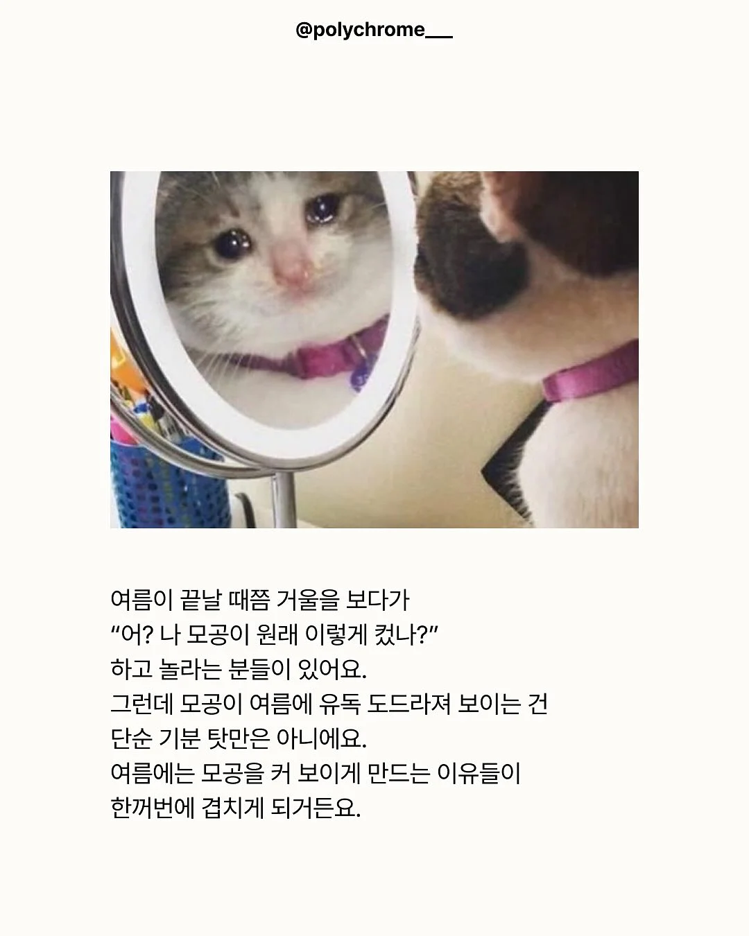 오란다 7종 클래스 2