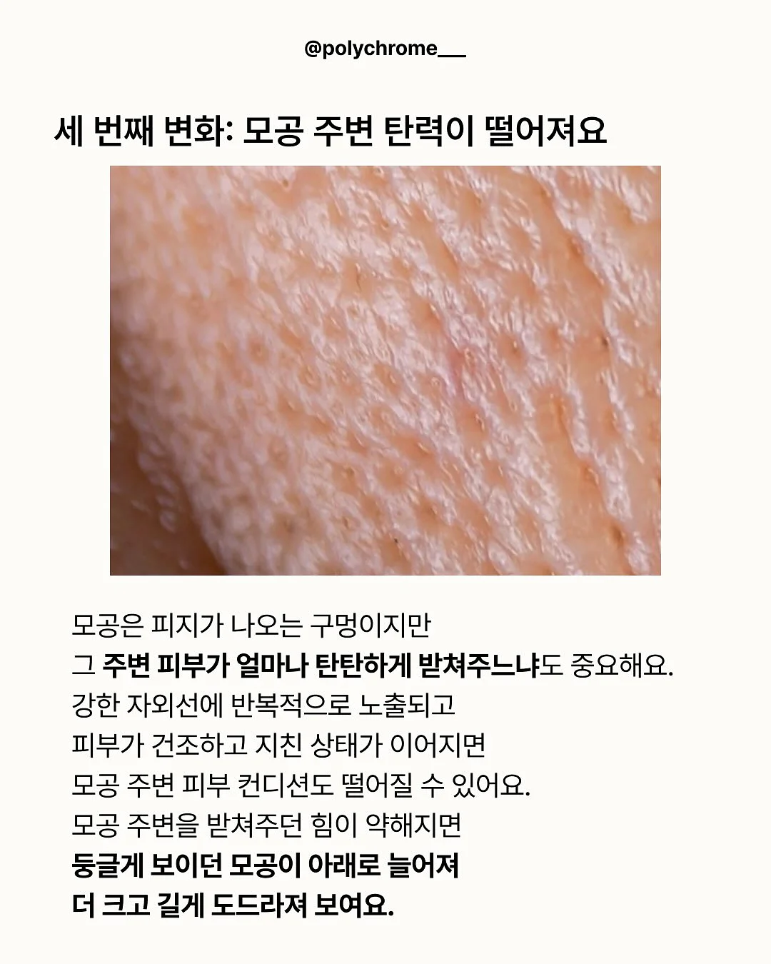 오란다 7종 클래스 5