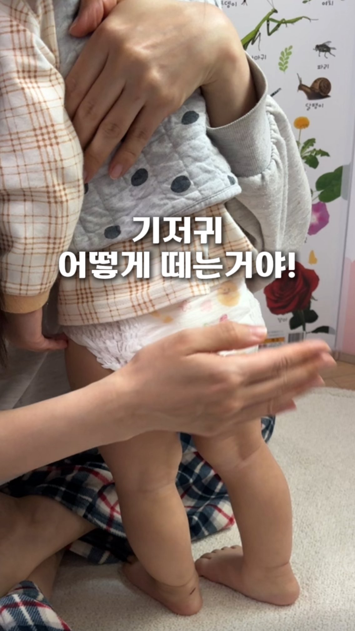 레노덤 데이 롱 비비 크림