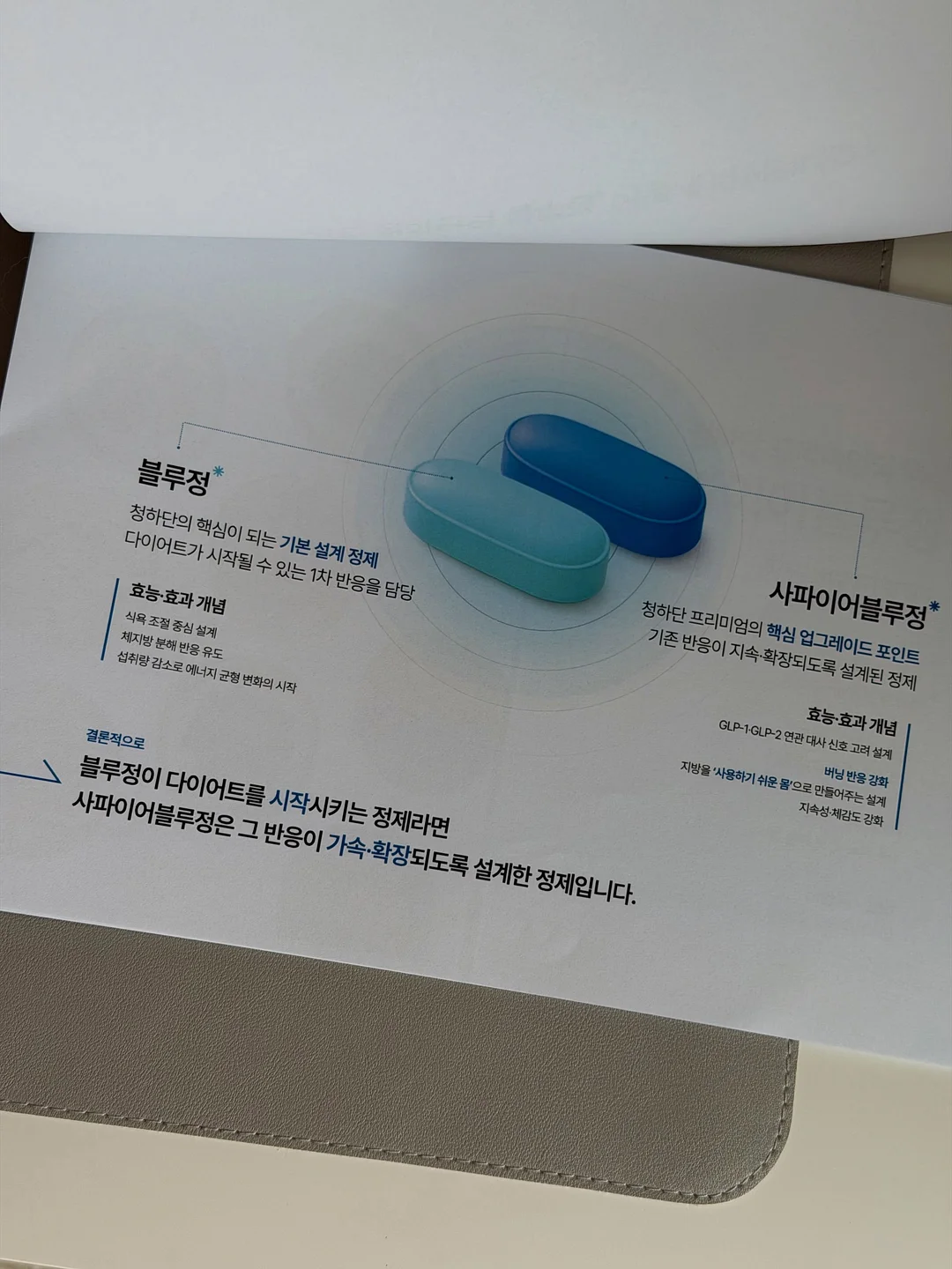 철분 10