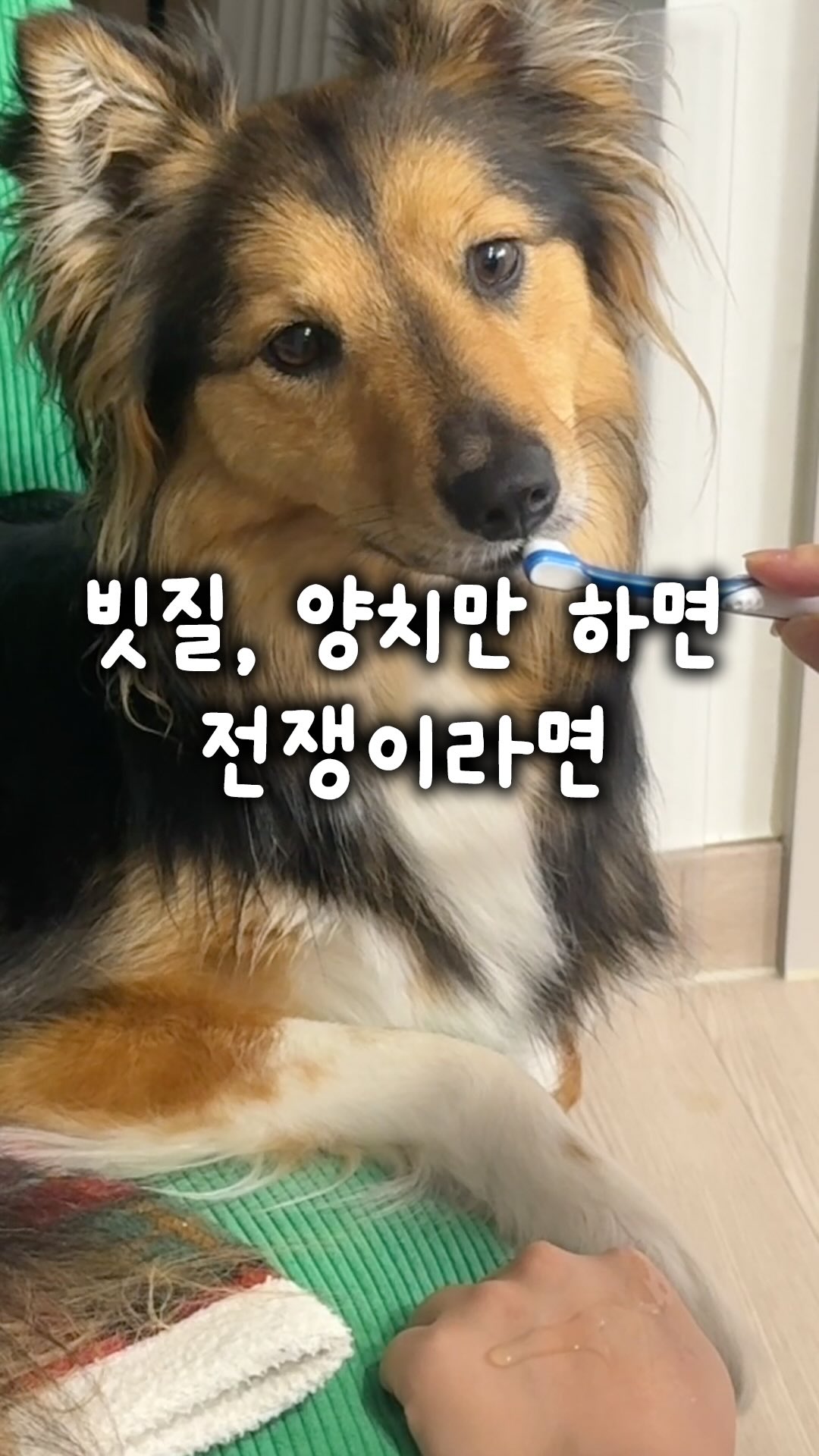 신상 의류