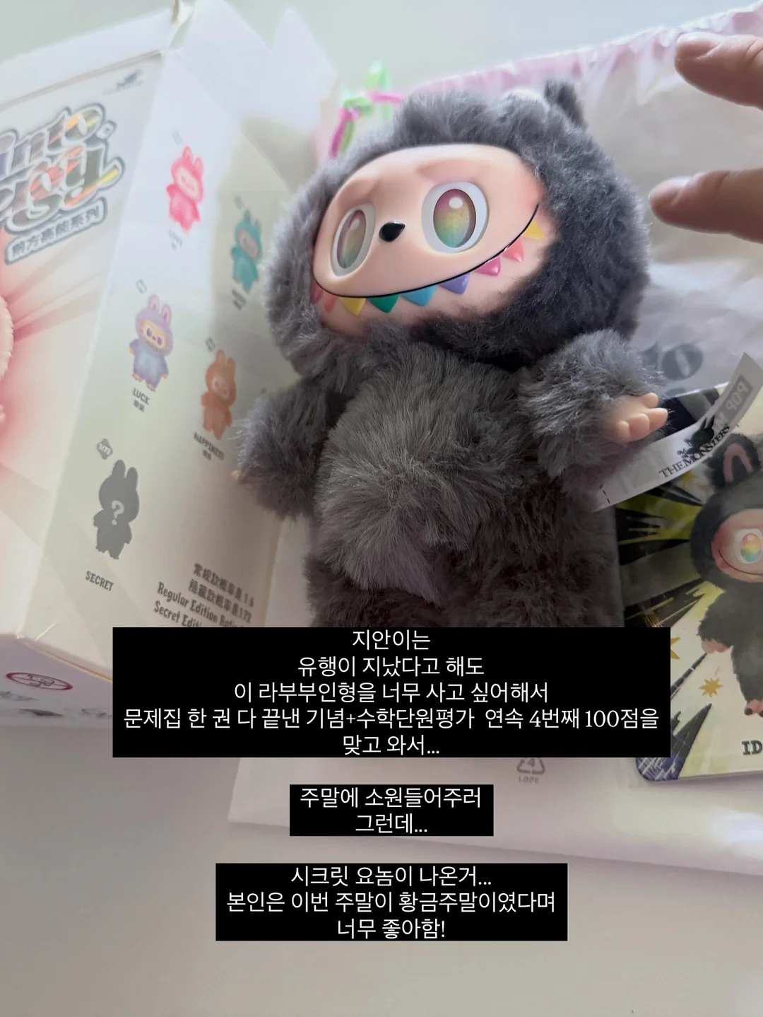 둥근카라 블라우스 3