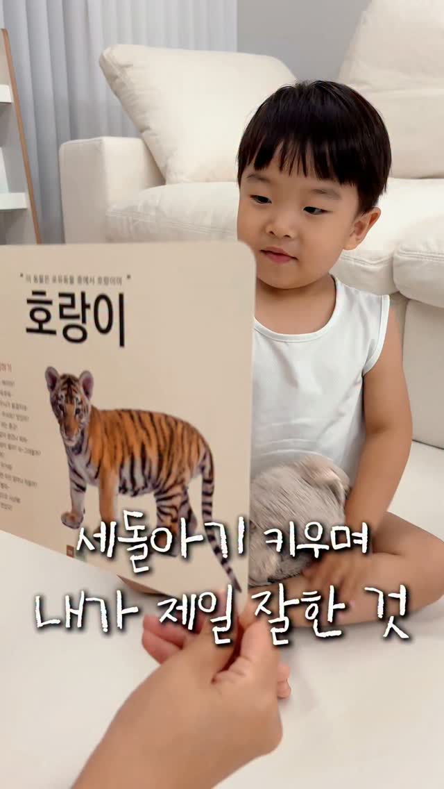 코코힐리 큐브네일 + 네일 스티커