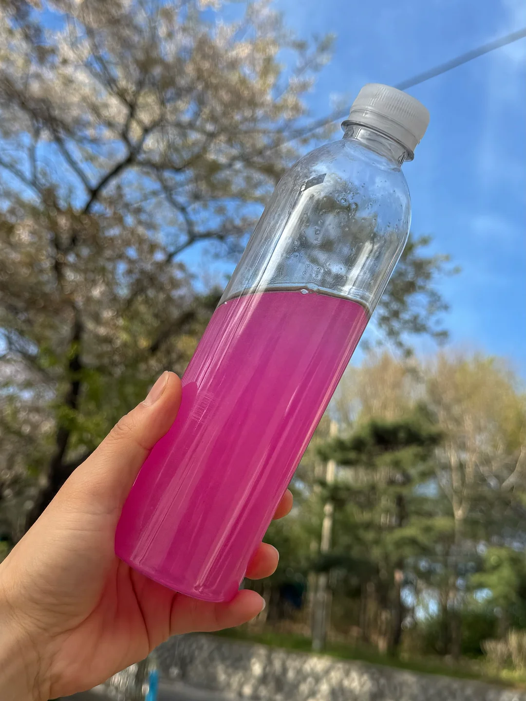 초등학교 입학 전 학교생활 준비 영상 3