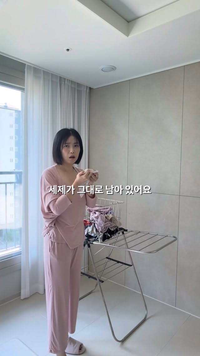 나비 젤리