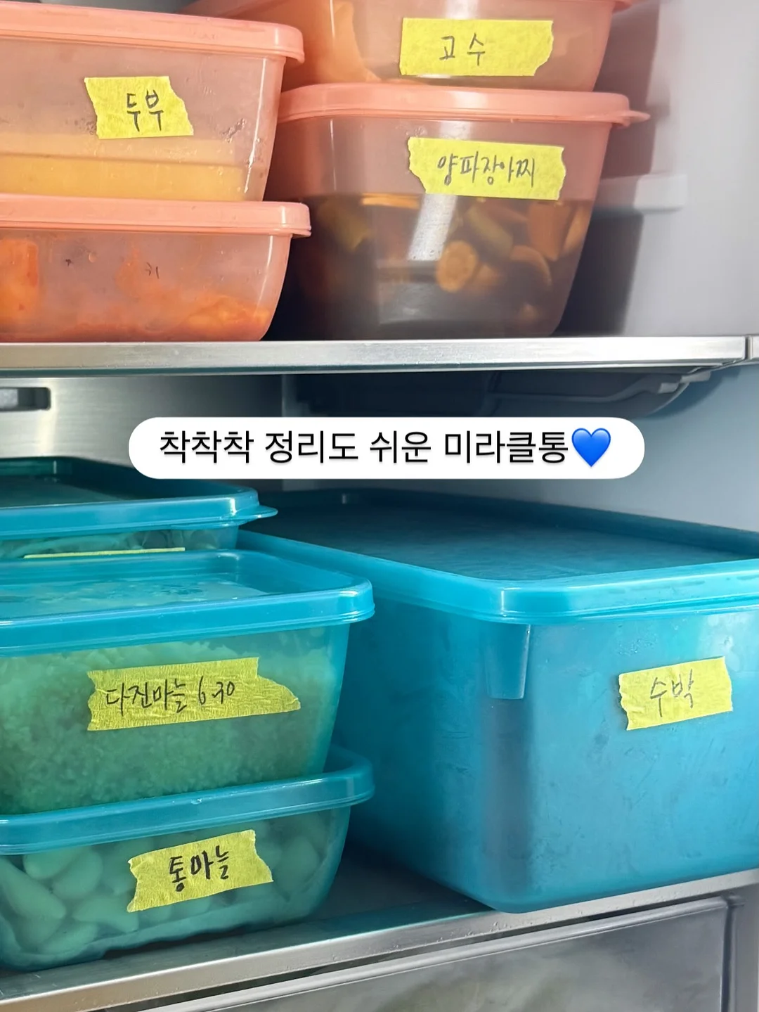 카티 9