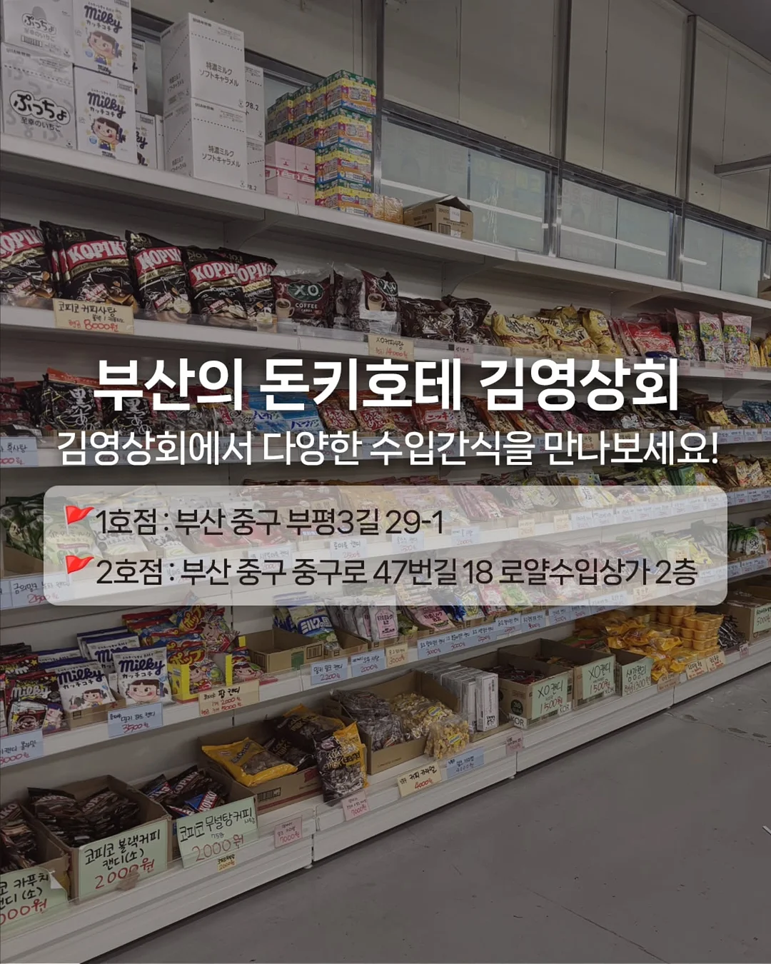 바보탄 소프트 오픈 14