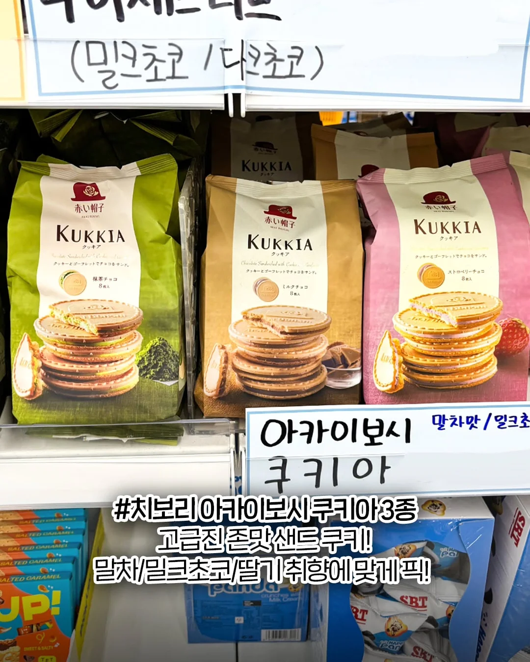 바보탄 소프트 오픈 5