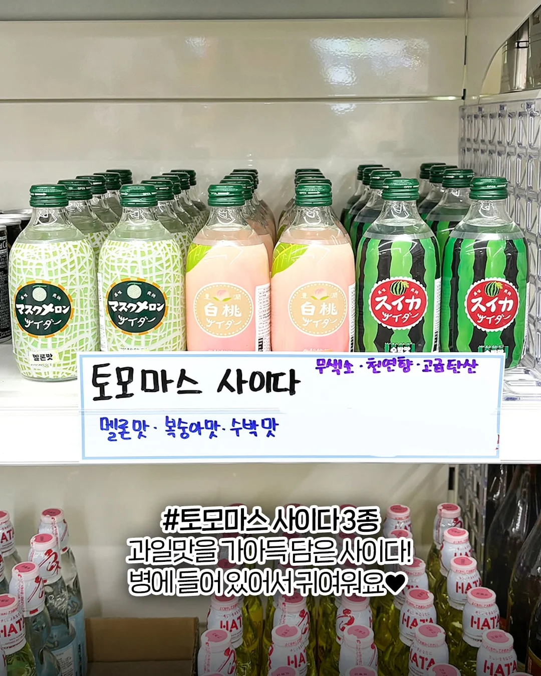 바보탄 소프트 오픈 6
