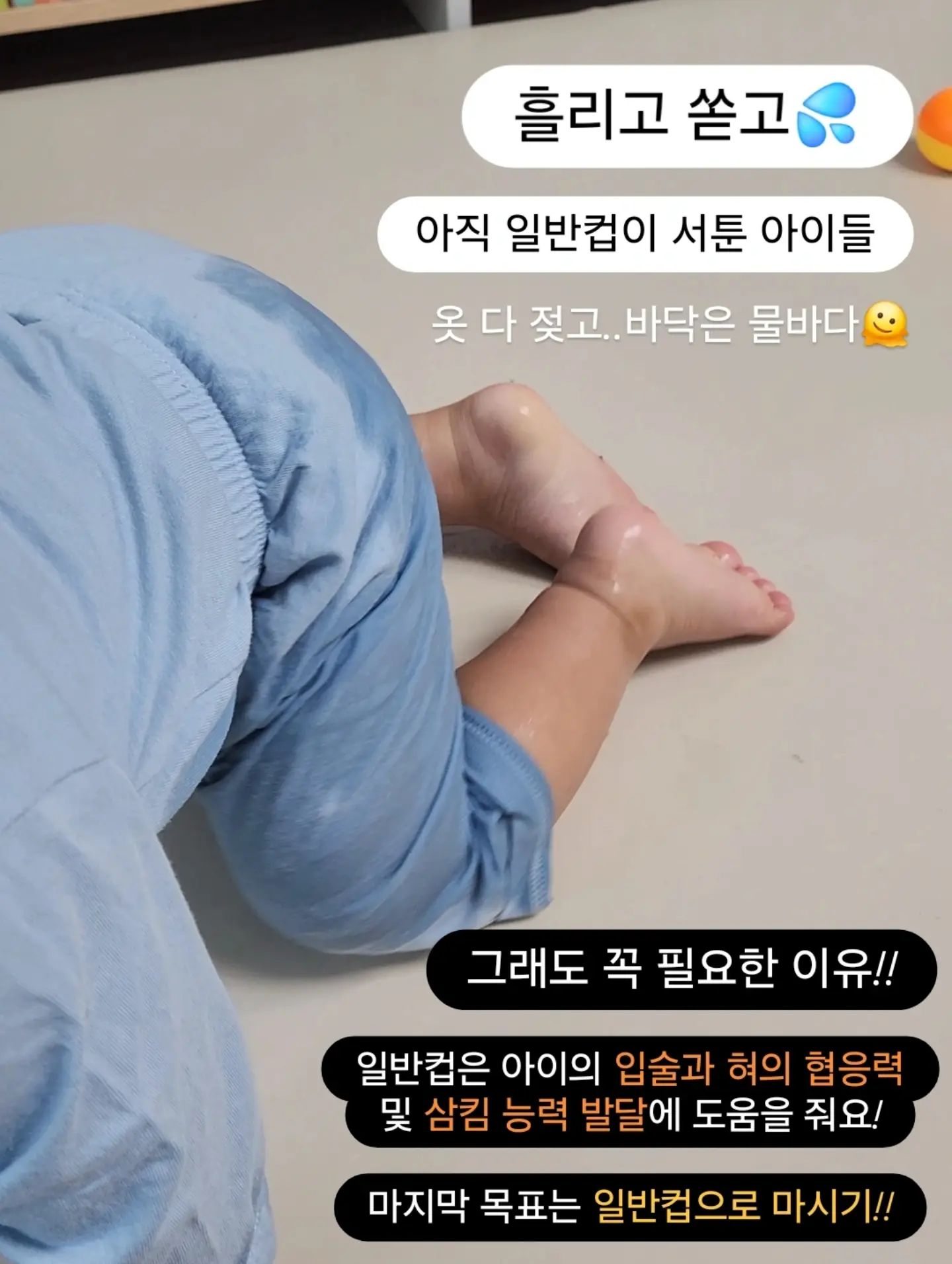 강아지 물통 2