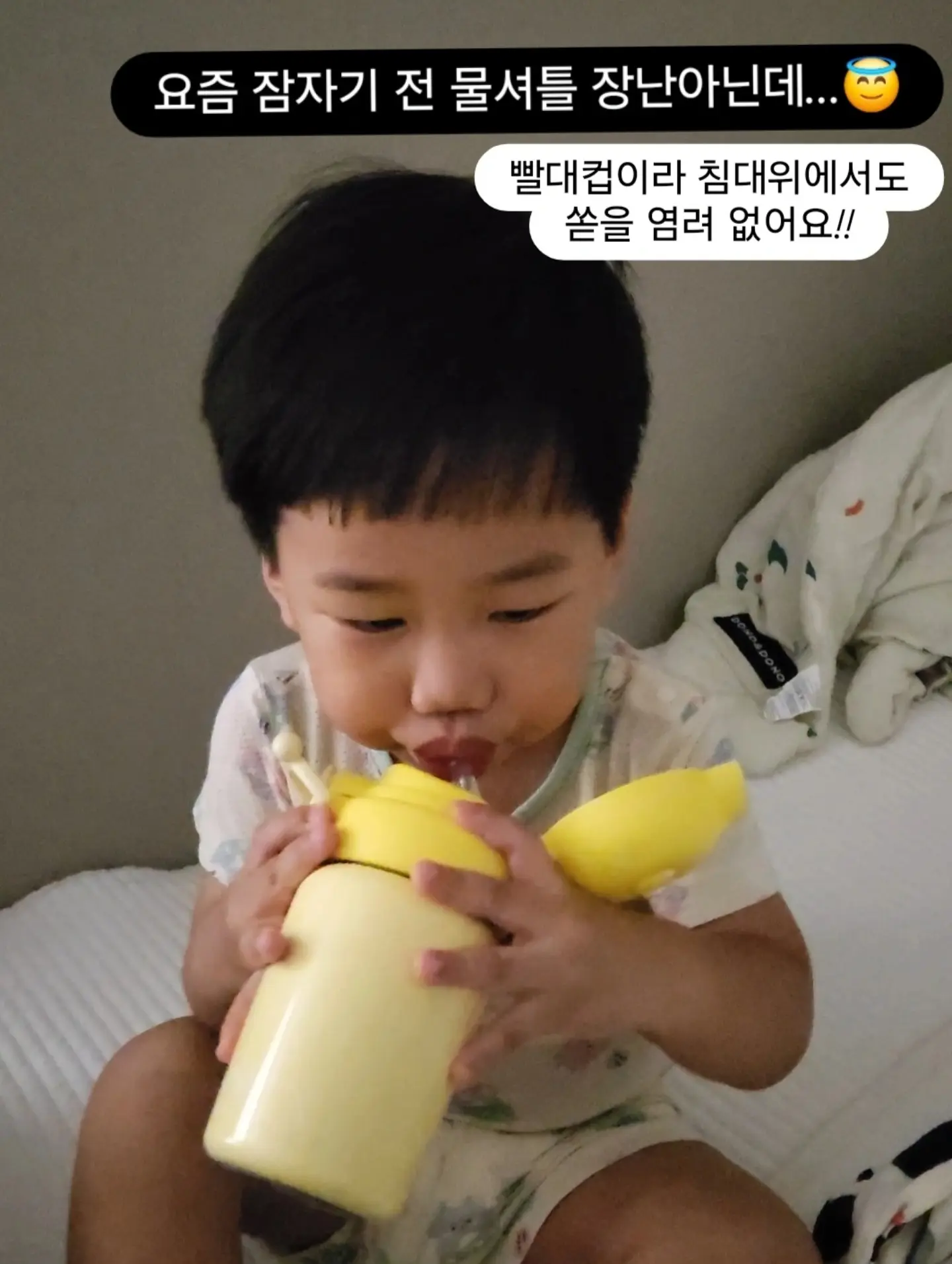 강아지 물통 12