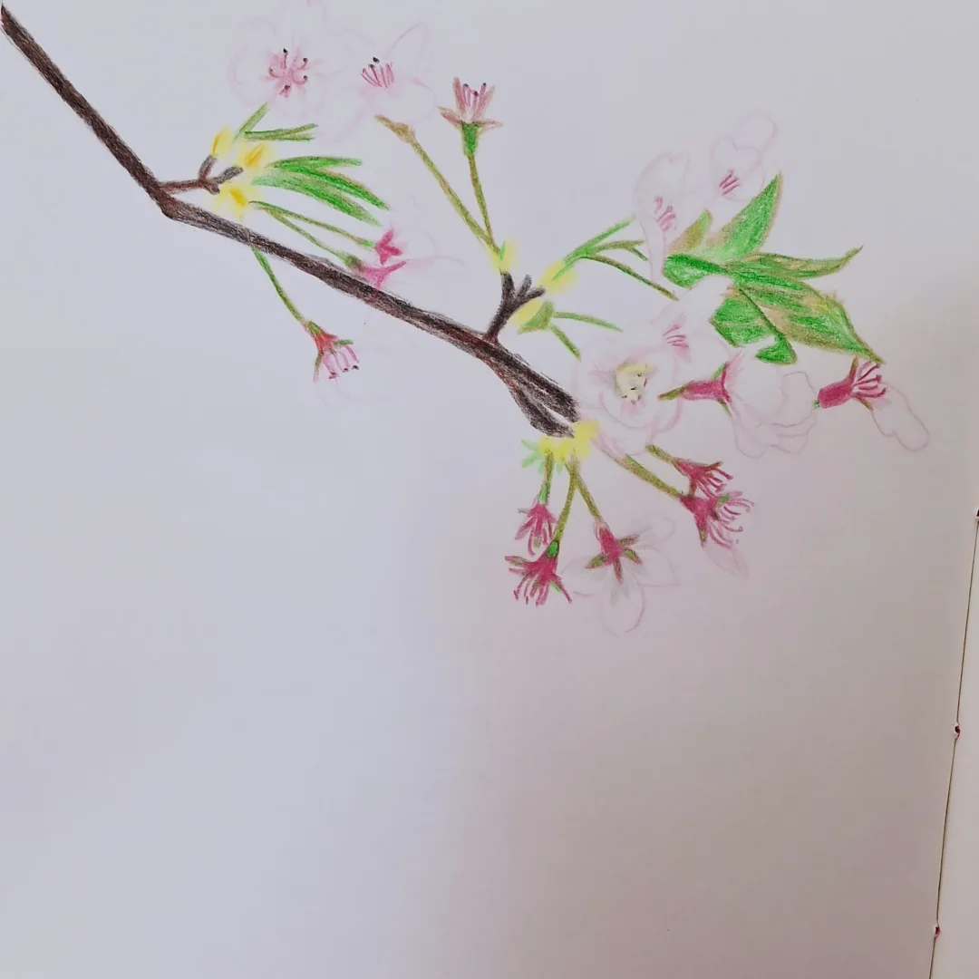 락앤락 데켓 쿡플레이트 3