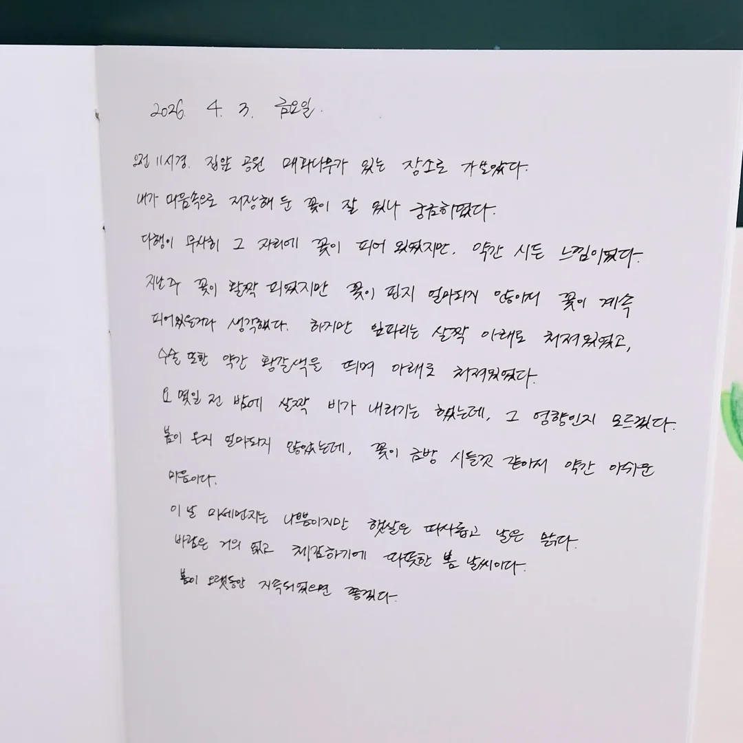 락앤락 데켓 쿡플레이트 5