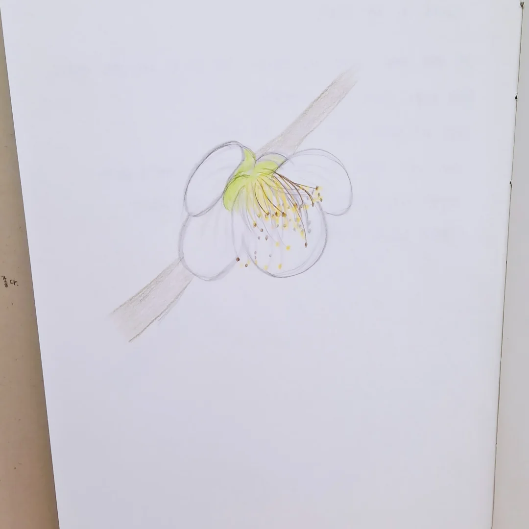 락앤락 데켓 쿡플레이트 6
