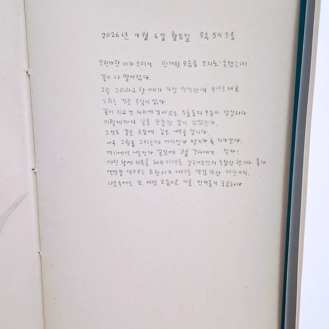 락앤락 데켓 쿡플레이트 7