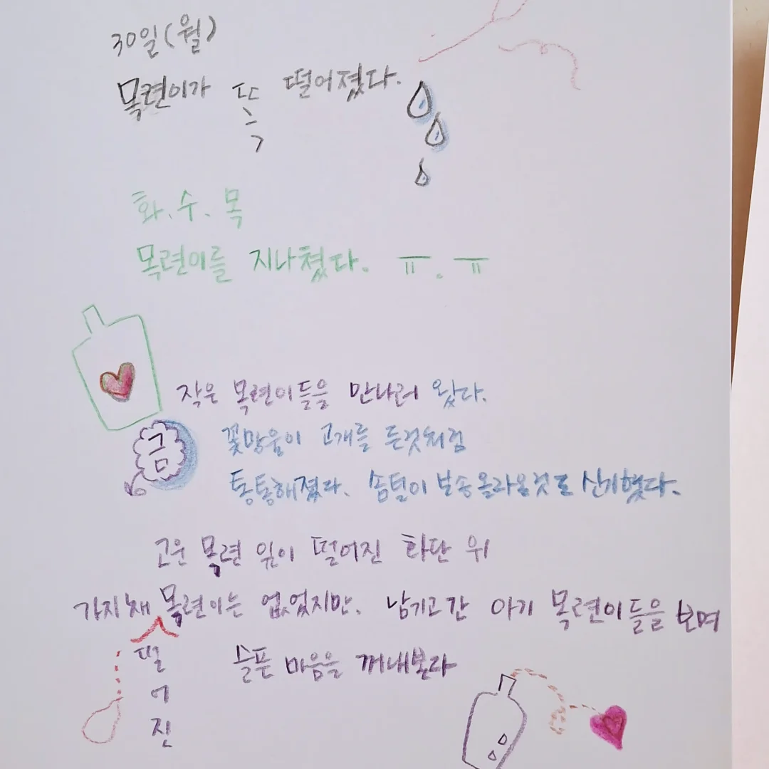락앤락 데켓 쿡플레이트 9