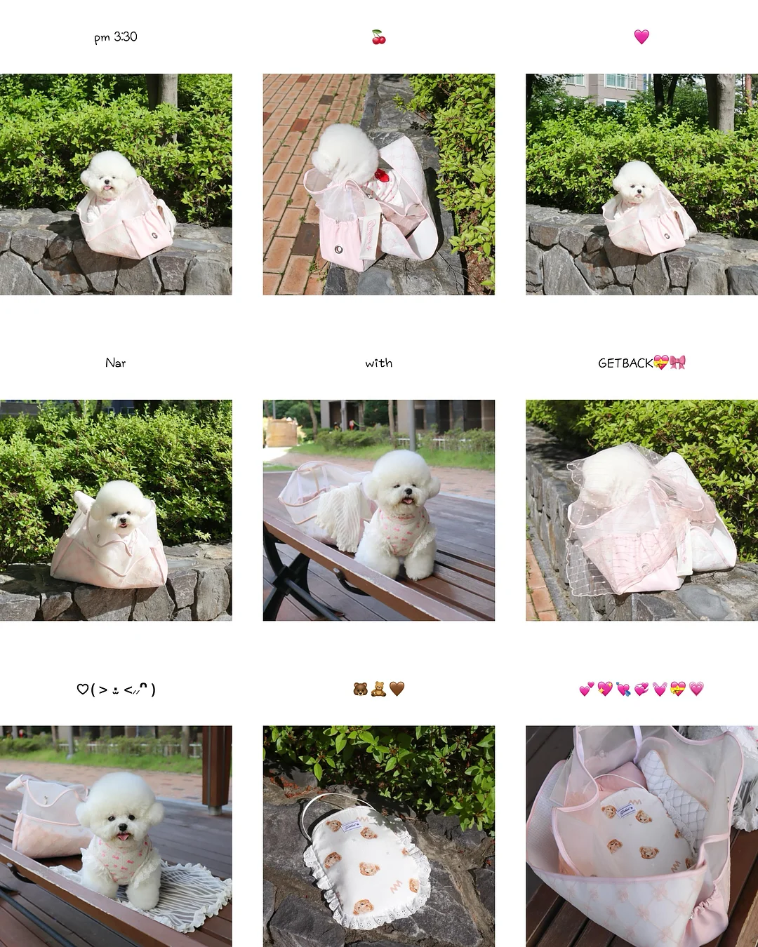 황치즈쫀득초코칩 1