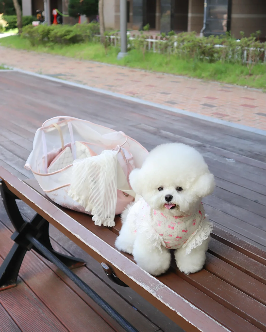 황치즈쫀득초코칩 2