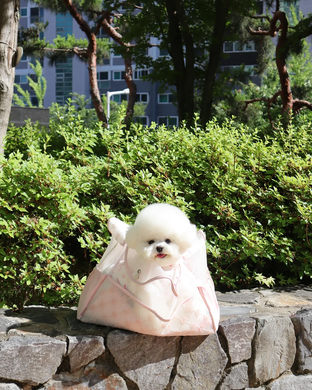 황치즈쫀득초코칩 8