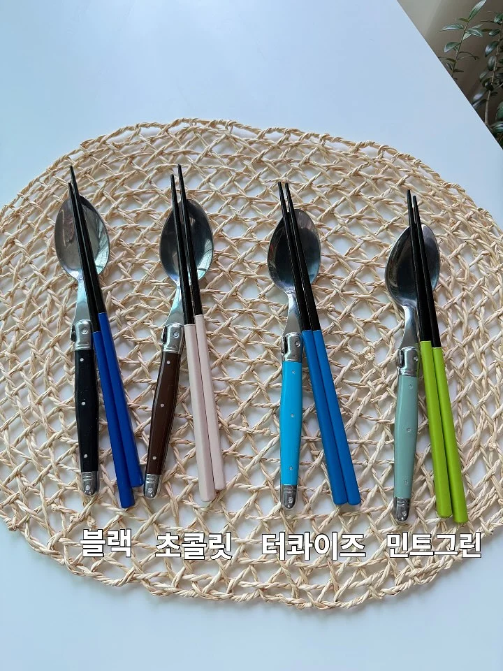 샤넬 립 11