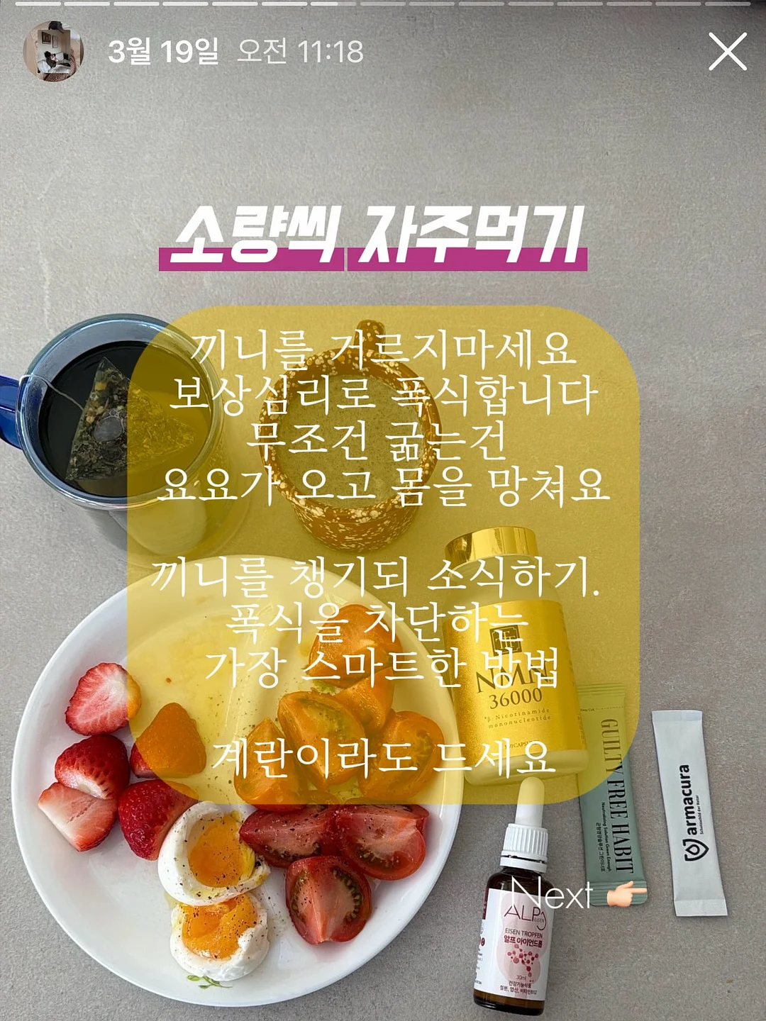 자석 방충망 8