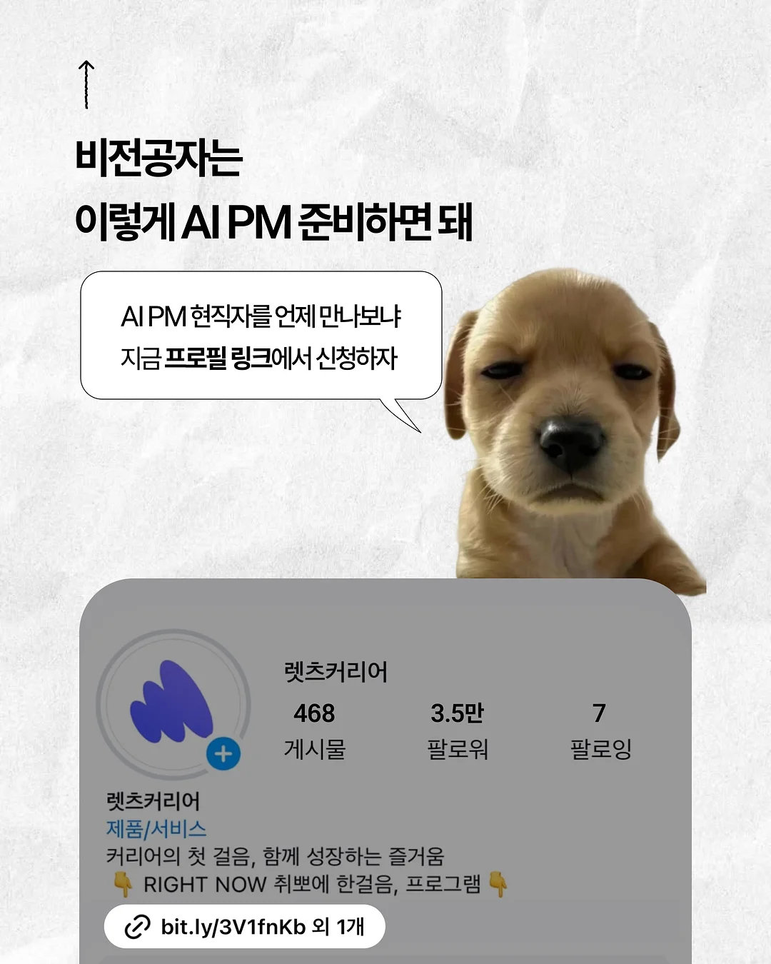 서양난 5