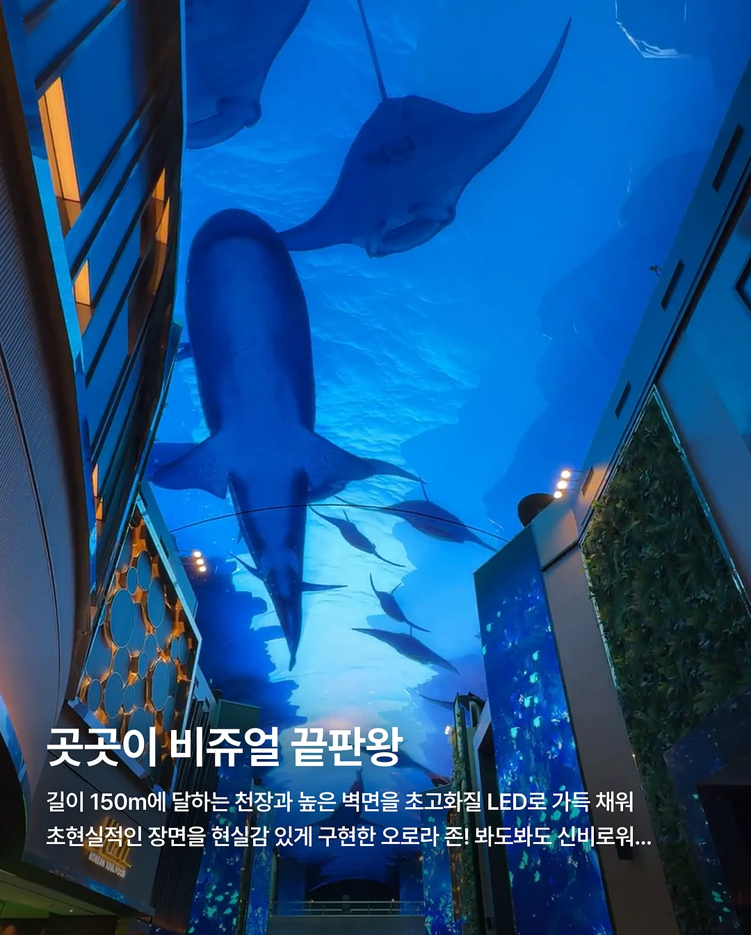 남자눈썹 5