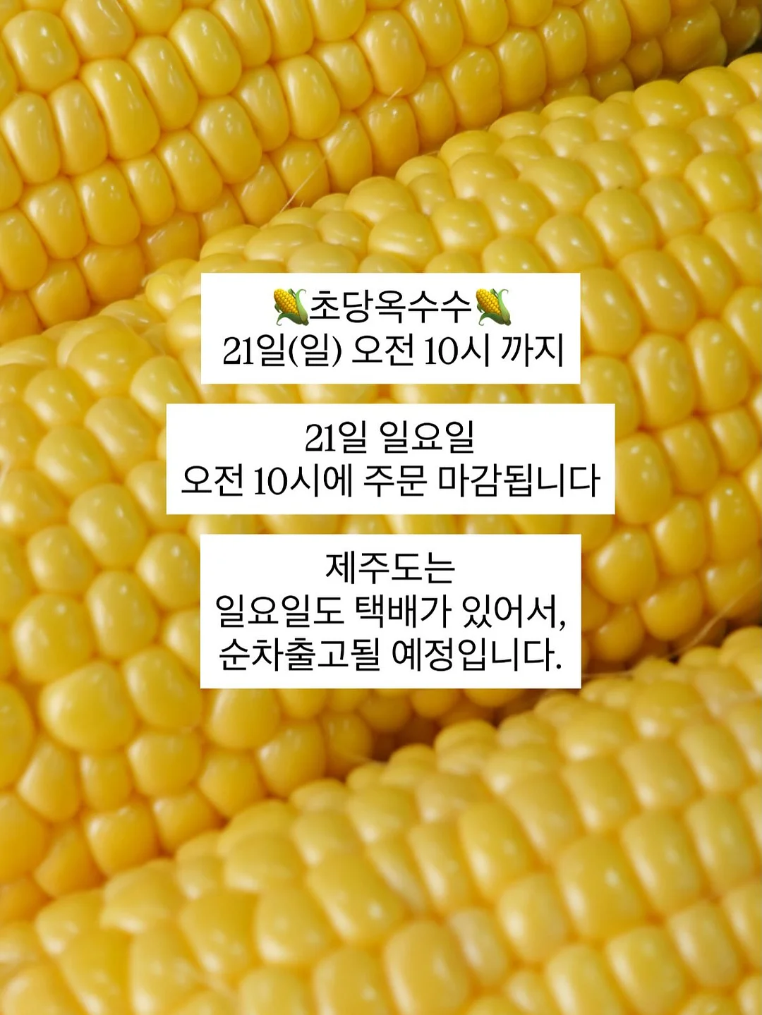 드비알레 팬텀 스피커 1