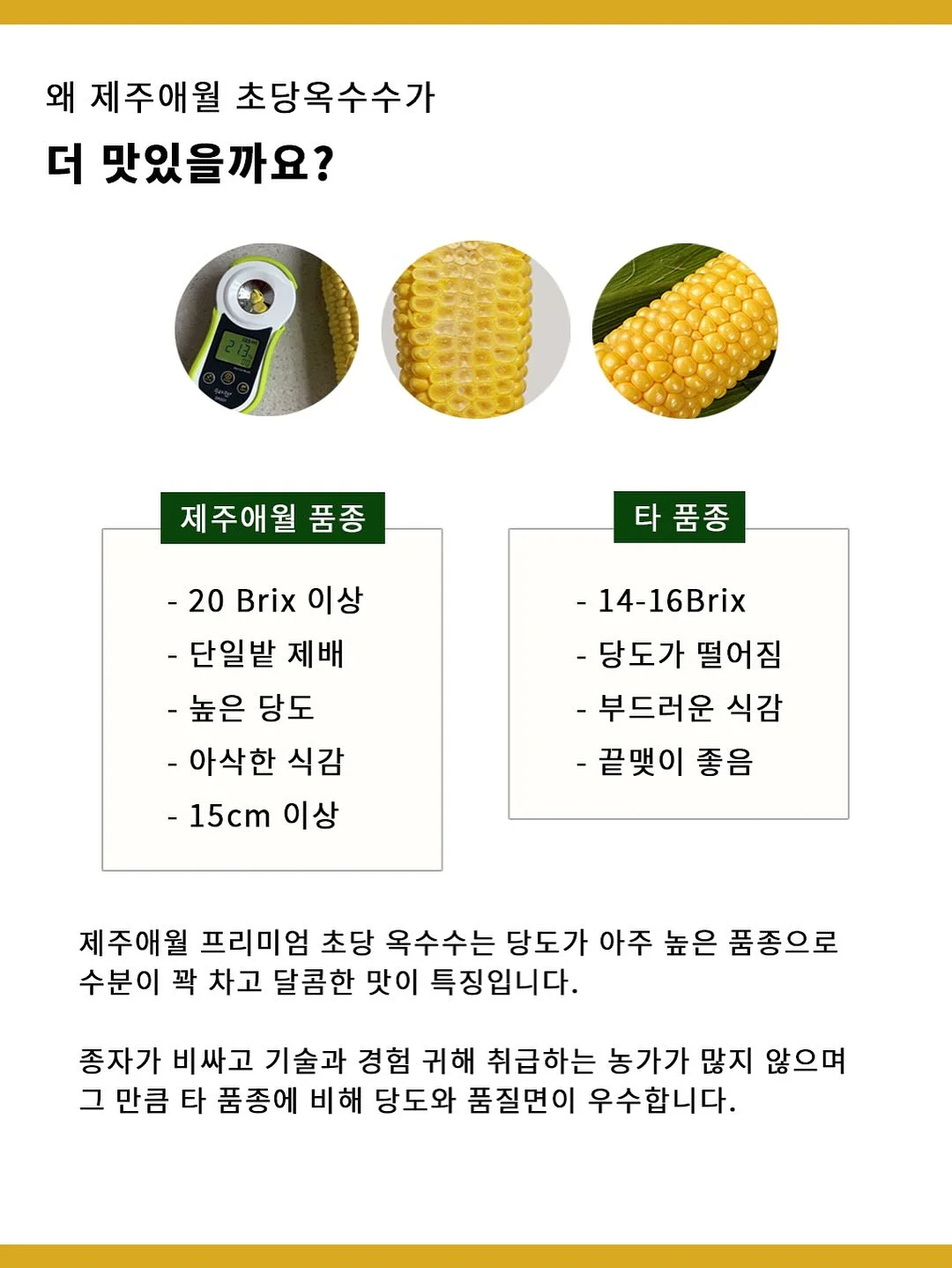 드비알레 팬텀 스피커 14