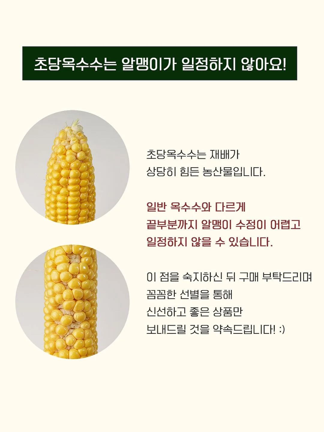 드비알레 팬텀 스피커 15