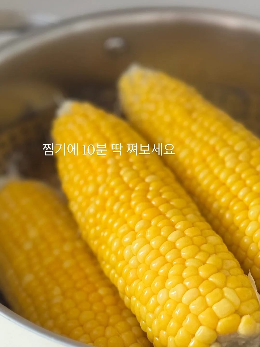 드비알레 팬텀 스피커 8