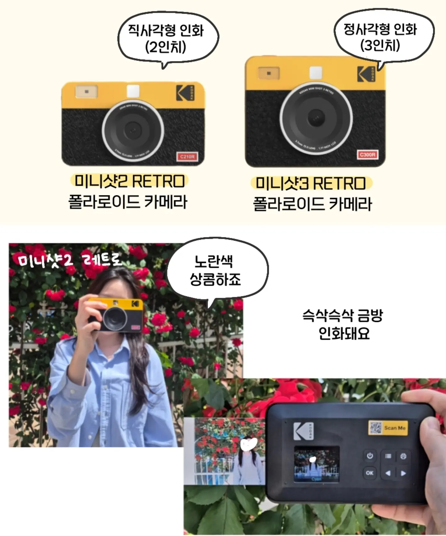 앙앙블라우스 10