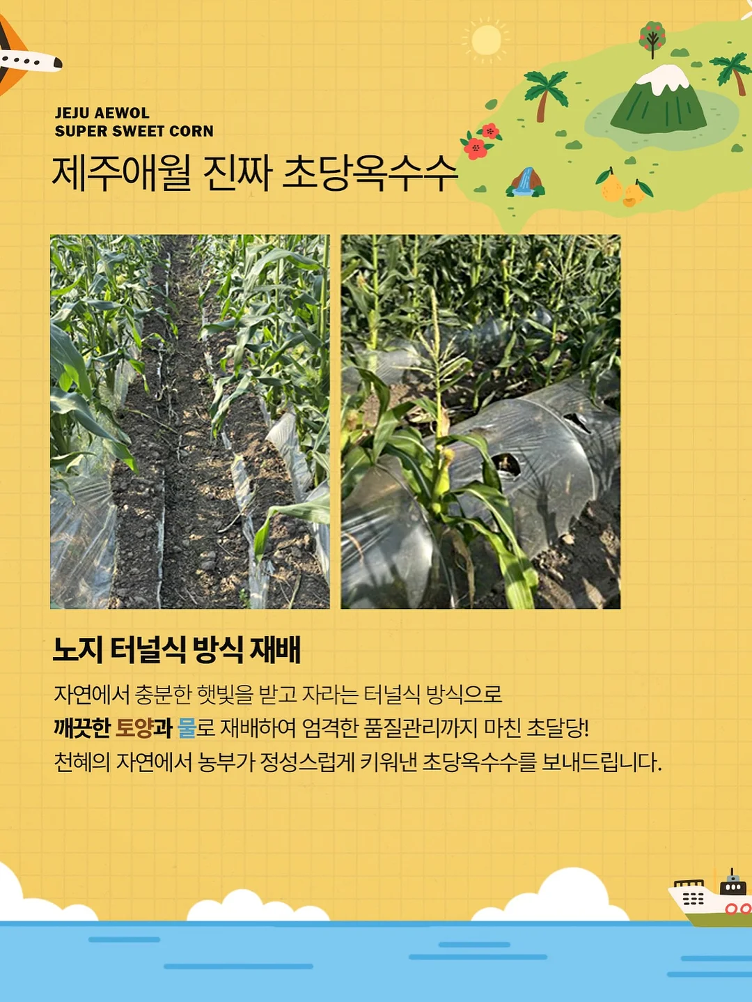 행주 냄새 제거제 13