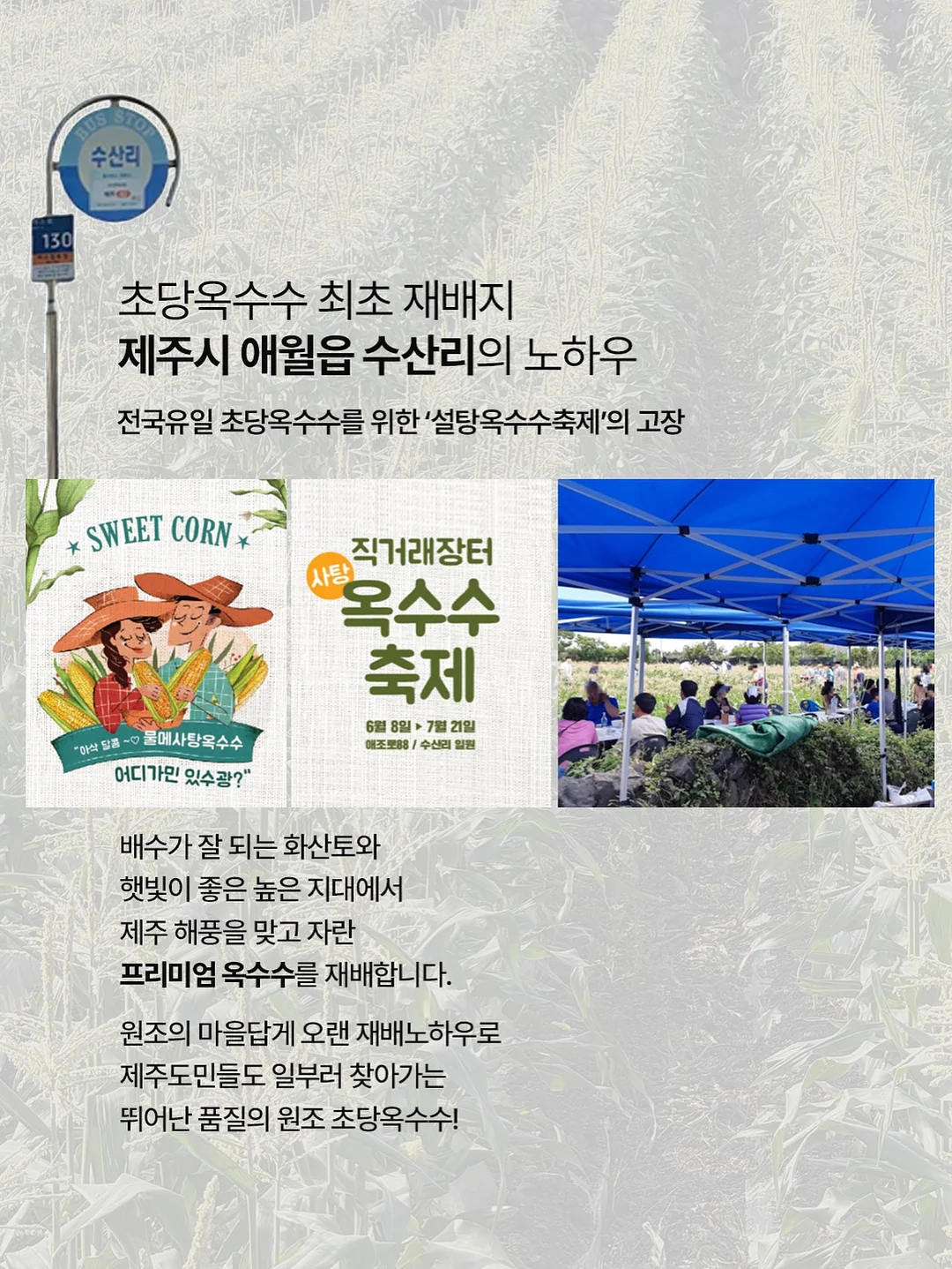 행주 냄새 제거제 18