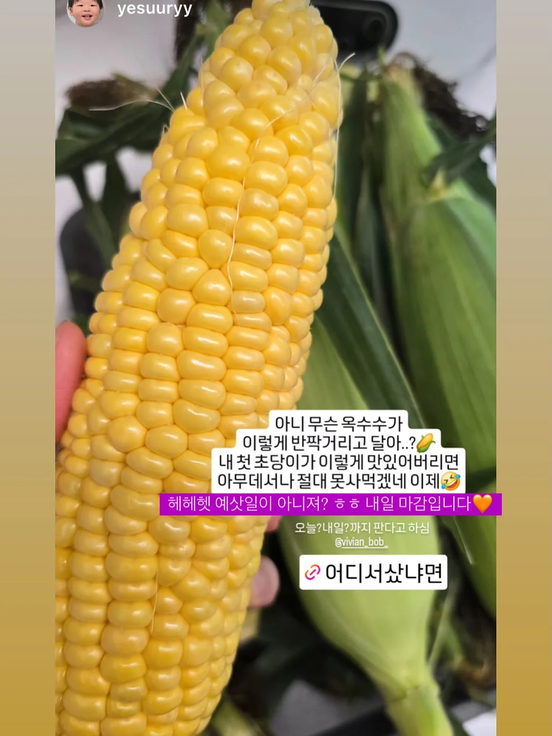 행주 냄새 제거제 10