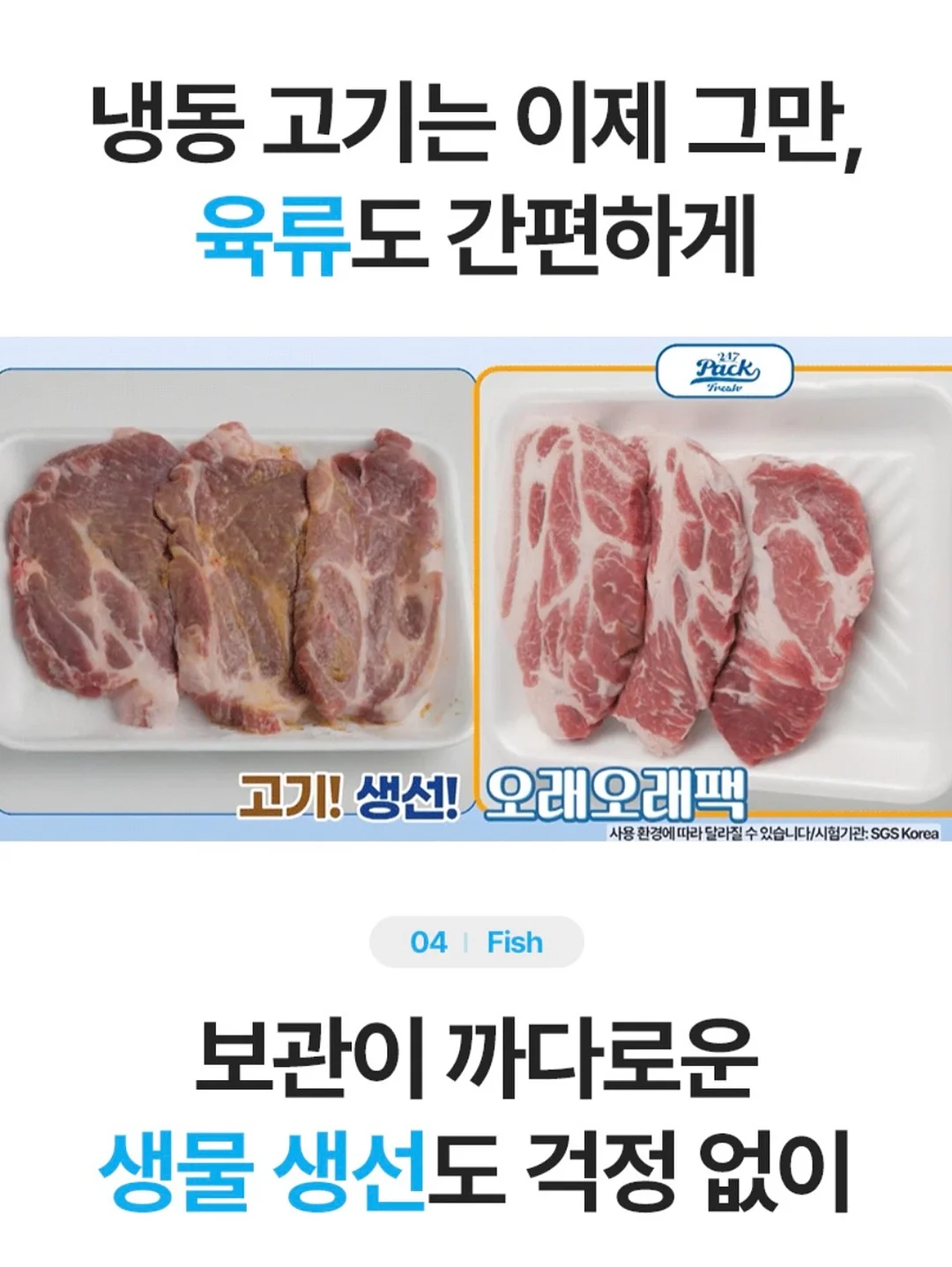 레드 쪼리 14