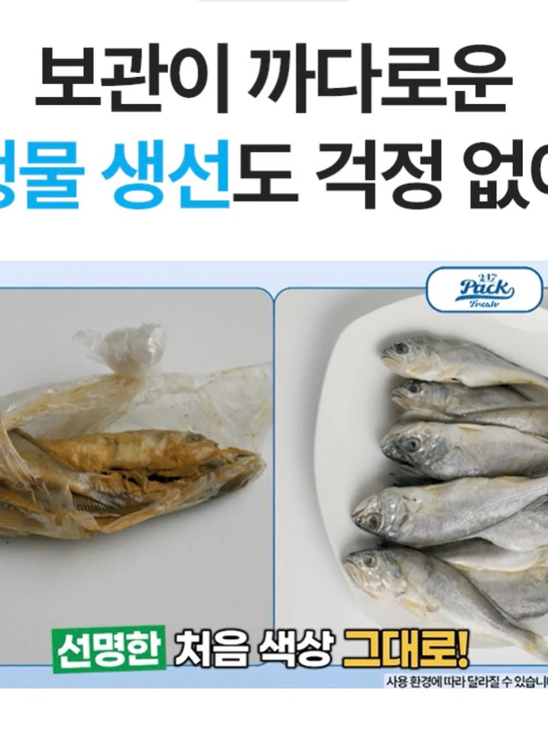 레드 쪼리 15