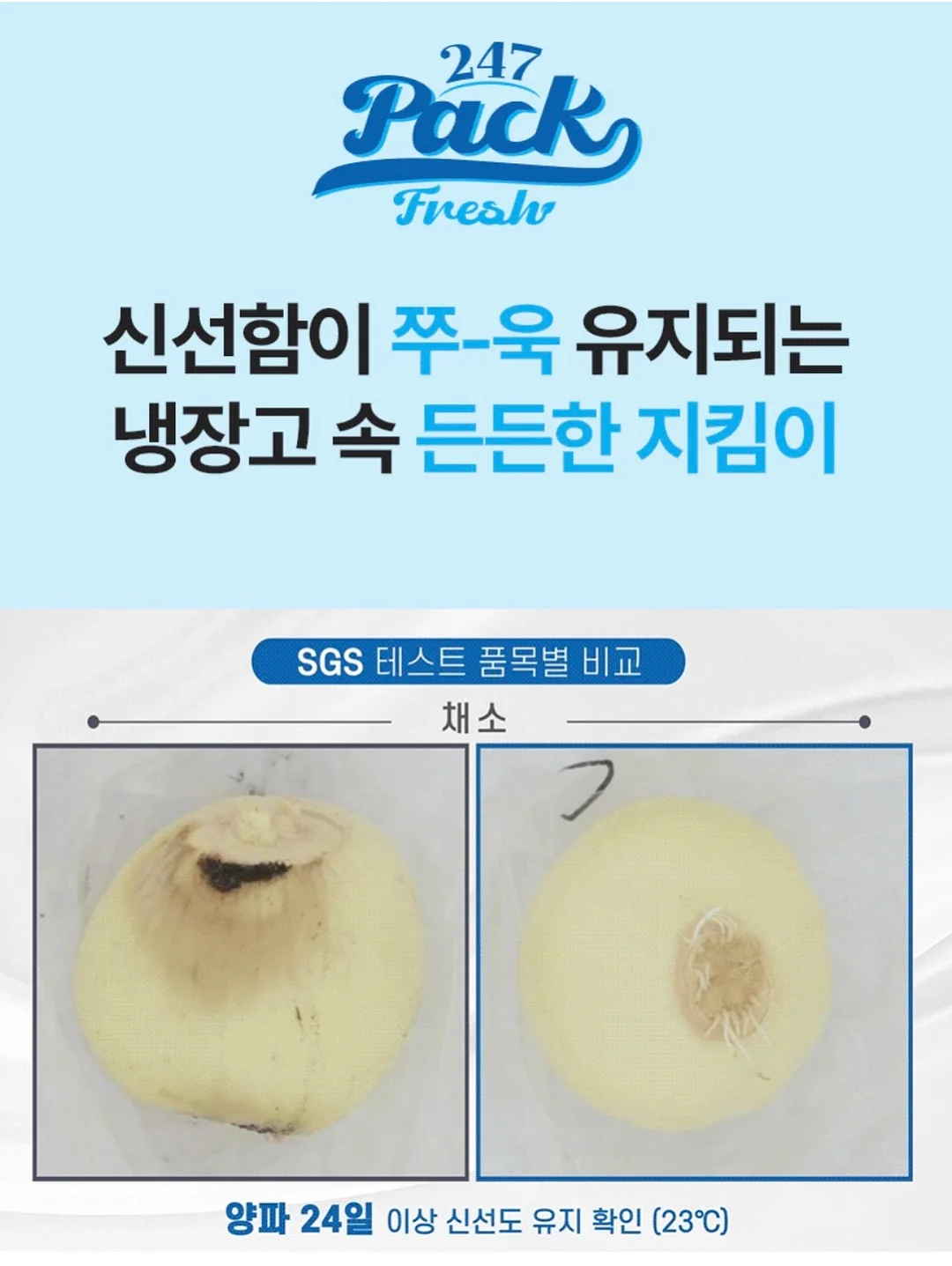 레드 쪼리 17