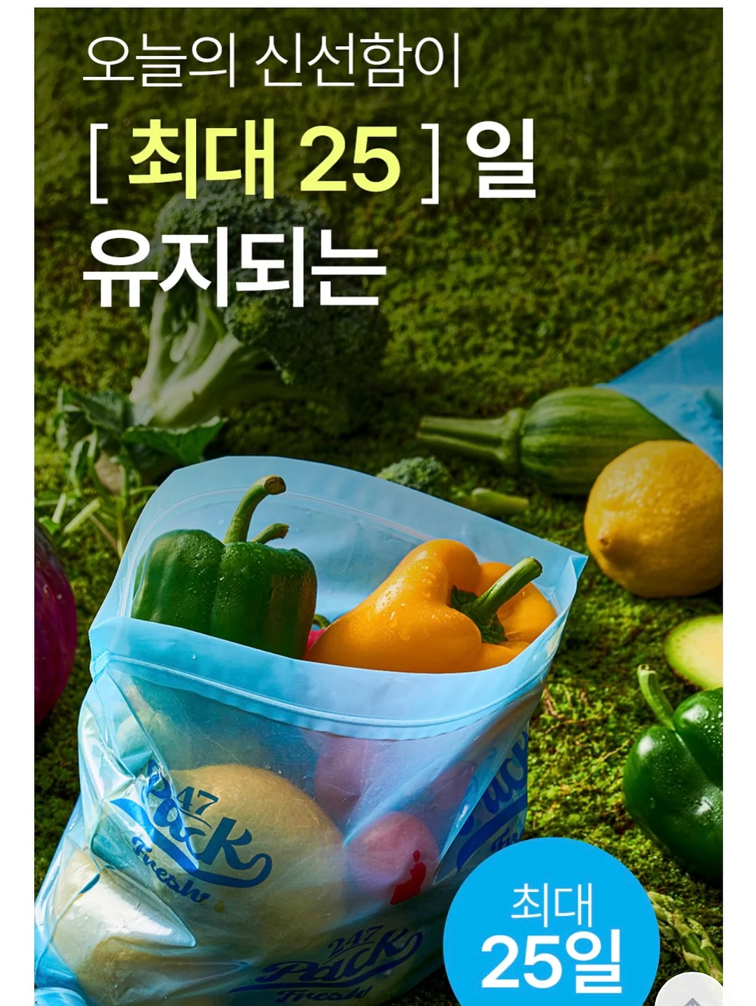 레드 쪼리 18